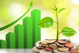 Lịch chốt quyền cổ tức tuần 28/10-1/11: Cổ tức tiền mặt cao nhất 20%