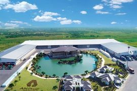 An Phát Holdings (APH) và Nhựa An Phát Xanh (AAA) cùng báo lỗ sau khi ông Phạm Ánh Dương "dứt áo ra đi", hàng loạt lãnh đạo “xả hàng”
