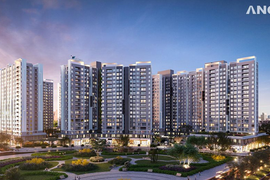 Nợ thuế hơn 102 tỷ đồng, công ty con của An Gia (AGG) bị cưỡng chế dừng thủ tục hải quan