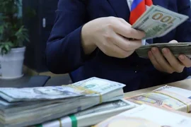 Áp lực vơi đi, VND chỉ mất giá khoảng 1,6%