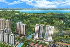 TP. Hồ Chí Minh yêu cầu tăng cường quản lý nhà chung cư