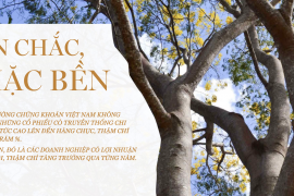 ĂN CHẮC, MẶC BỀN