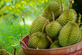 THỜI CƠ NÂNG HẠNG