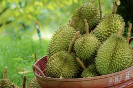 THỜI CƠ NÂNG HẠNG