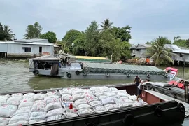 Giá lúa gạo nhiều khả năng vẫn ổn định khi vào mùa thu hoạch rộ