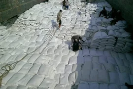 Giá lúa gạo giảm mạnh, doanh nghiệp đã ký hợp đồng lãi lớn