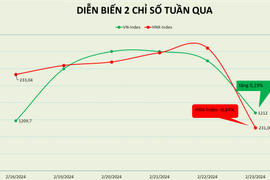 Tuần rung lắc mạnh của VN-Index, nhà đầu tư cá nhân mua ròng gần 2.900 tỷ đồng