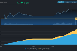 VN-Index hồi phục, HSC khớp lệnh kỷ lục cận kề phiên đấu giá quyền mua của HFIC
