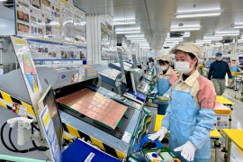 Hơn 41.000 doanh nghiệp gia nhập và tái gia nhập thị trường trong hai tháng đầu năm 2024