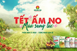 Phân bón Cà Mau tặng 7.000 phần quà đến bà con nghèo ở mọi miền đất nước