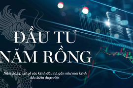 ĐẦU TƯ NĂM RỒNG