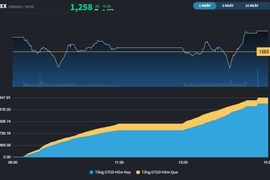 VN-Index nỗ lực xây nền trên 1.250 điểm, dòng tiền tìm đến Midcap