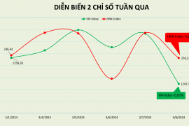 Chuỗi 4 tuần tăng điểm tạm bị ngắt quãng, PE đạt 16,2 lần