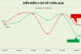 Chuỗi 4 tuần tăng điểm tạm bị ngắt quãng, PE đạt 16,2 lần