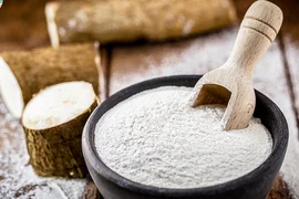Giá sắn tươi cao, khách mua trả giá bột sắn thấp khiến đầu ra khó khăn