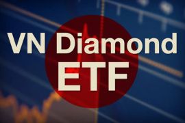 SSI Research dự báo BMP có thể vào VNDiamond thay thế MWG
