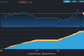 Thị trường "nhiễu" do cơ cấu ETF, dòng tiền tiếp tục ưu ái Midcap và Penny