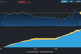 Thị trường "nhiễu" do cơ cấu ETF, dòng tiền tiếp tục ưu ái Midcap và Penny