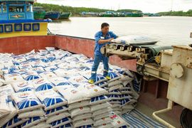 Thuế xuất khẩu 5% khiến phân bón Việt Nam khó cạnh tranh
