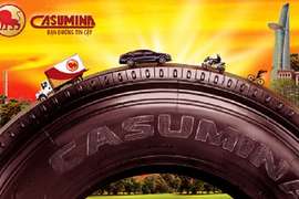 Casumina (CSM) giải trình gì về việc lãi ròng 'bốc hơi' sau kiểm toán