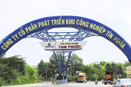 Lãi ròng giảm hơn 11% sau kiểm toán, Tín Nghĩa (TIP) nói gì?