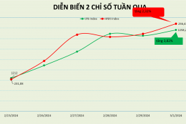 Tuần tăng điểm mạnh nhất của VN-Index trong 14 tháng