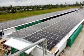 Bộ Công thương: “Không thể phát triển một các ngẫu hứng hay ồ ạt điện mặt trời áp mái”