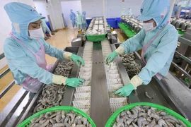 Xuất khẩu tôm có nhiều triển vọng tại thị trường Nhật Bản