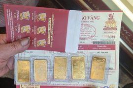 Giá vàng miếng tiếp tục phá đỉnh, đạt 81,3 triệu đồng/lượng
