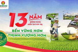 Phân bón Cà Mau: Hành trình tạo dựng một thương hiệu lớn