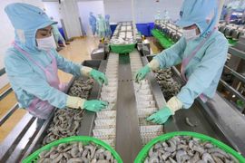 DOC công bố thuế chống trợ cấp sơ bộ với tôm Việt Nam, ấn Độ và Ecuador