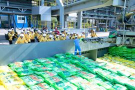 Gần 2.500 nông dân trải nghiệm tại nhà máy sản xuất phân bón Đạm Cà Mau