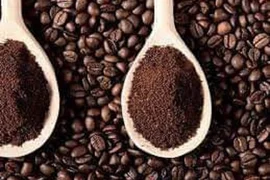 Nguồn cung hạn chế, sản lượng cà phê xuất khẩu trong 6 tháng cuối năm sẽ giảm