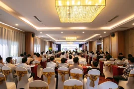 “Chìa khóa” vàng cho cây sầu riêng Tây Nguyên