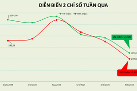 Tuần giảm mạnh nhất của VN-Index kể từ tháng 10/2023