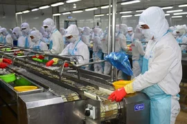 Ngành tôm Việt Nam "phấp phổng" đợi thông tin Mỹ công nhận Việt Nam là kinh tế thị trường