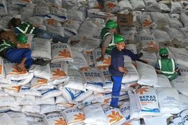 Cơ quan Hậu cần quốc gia Indonesia lại mở mới gói thầu 300 ngàn tấn gạo