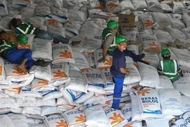 Cơ quan Hậu cần quốc gia Indonesia lại mở mới gói thầu 300 ngàn tấn gạo