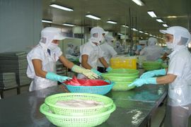 Giá xuất khẩu thuỷ sản sẽ tăng nếu Mỹ công nhận Việt Nam là nền kinh tế thị trường?