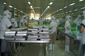 Xuất khẩu cá tra sang Iran gấp 3 lần so với cùng kỳ năm 2023