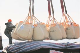 Trung Quốc cấm xuất khẩu, Nhật Bản sốt sắng tìm đến một báu vật của Việt Nam: xuất khẩu tăng 3 chữ số, nước ta thu về hàng trăm tỷ đồng