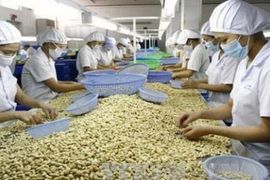 Doanh nghiệp Việt cần làm gì để nâng cao năng lực cạnh tranh trên trường quốc tế?