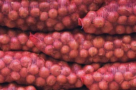1 loại củ giá rẻ bán đầy chợ Việt đang làm "điêu đứng" nền kinh tế quốc gia lớn thứ 5 thế giới, giá tăng 165% chỉ trong một năm qua