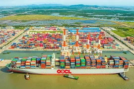 Cụm cảng Cái Mép lọt top 7 cảng container hiệu quả nhất thế giới