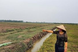 Từ năm 2025, nhiều điểm mới về việc đền bù khi bị thu hồi đất nông nghiệp