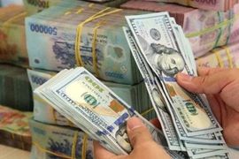 Chuyên gia: Tỷ giá USD/VND sẽ dao động trong khoảng 25.100