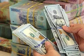 Chuyên gia: Tỷ giá USD/VND sẽ dao động trong khoảng 25.100
