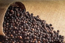 Xuất khẩu nhóm hàng nông sản tăng cao, một mặt hàng duy nhất tăng đến 3 con số