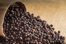 Xuất khẩu nhóm hàng nông sản tăng cao, một mặt hàng duy nhất tăng đến 3 con số