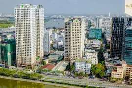 Cổ phiếu GVR, NVL tăng mạnh trở lại, cổ phiếu QCG tiếp tục nằm sàn sau khi bà Nguyễn Thị Như Loan bị bắt